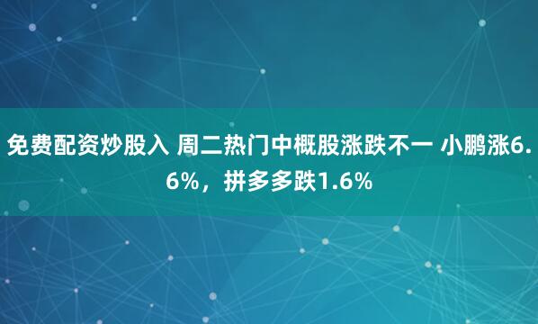 免费配资炒股入 周二热门中概股涨跌不一 小鹏涨6.6%，拼多多跌1.6%