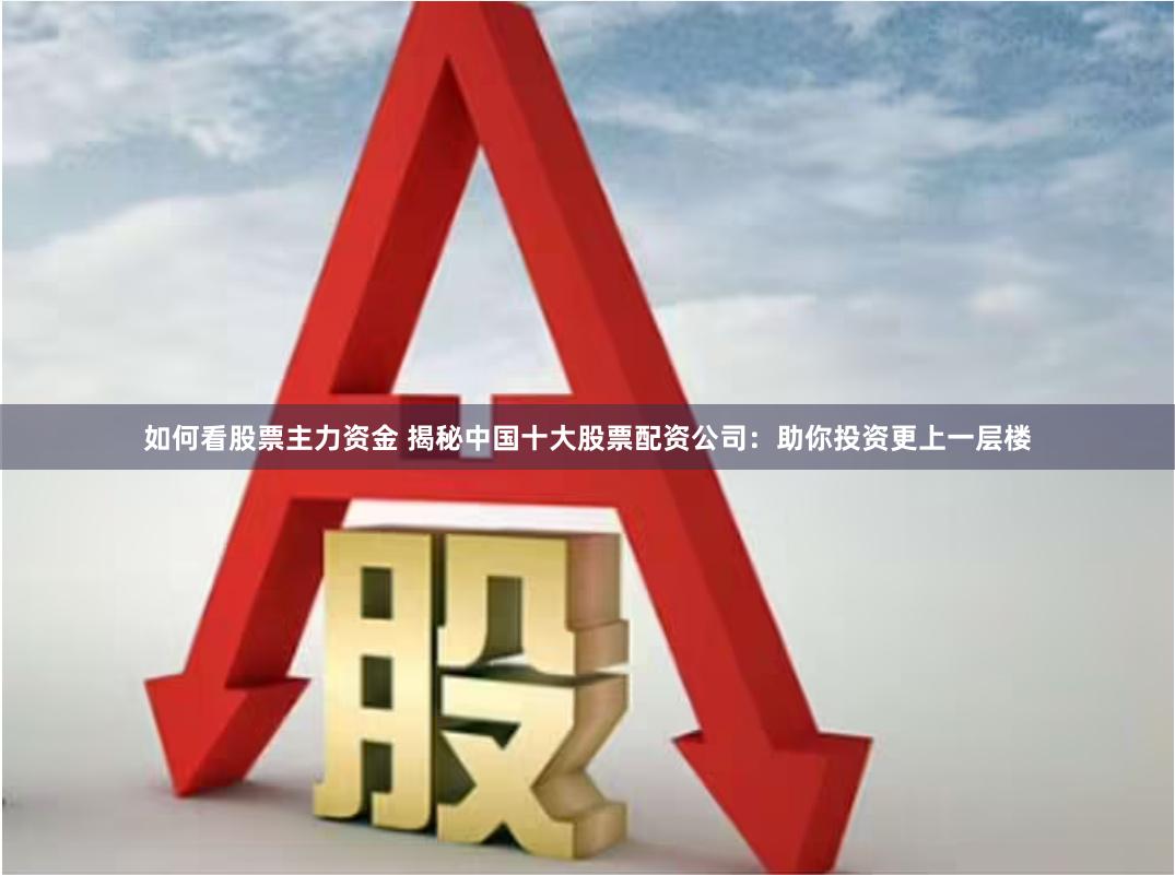 如何看股票主力资金 揭秘中国十大股票配资公司：助你投资更上一层楼